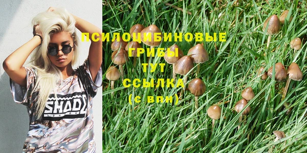 СК Балахна