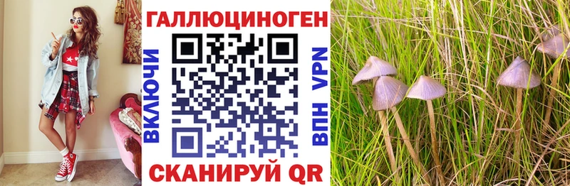 Галлюциногенные грибы Magic Shrooms  как найти   Кропоткин 